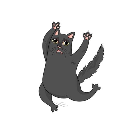 Image result for Scared Running Scratch Cat