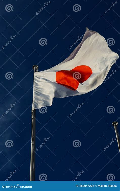 Japanese Flag 的图像结果