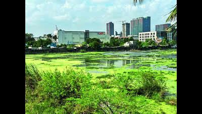 Inundated Vacant Plots: Inundated vacant plots in ECR | Chennai News ...