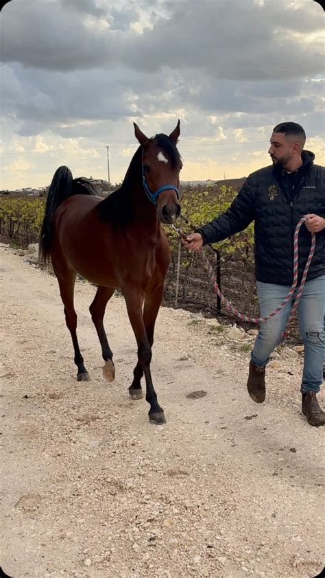 Weaam Abu Dahesh | ‎Mozn The Meaning Of Beauty 👑 مزن البداير اس م اي ...