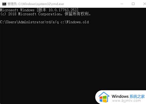 Windows.old可以删除吗？Win10系统windows.old文件怎么删除-系统之家