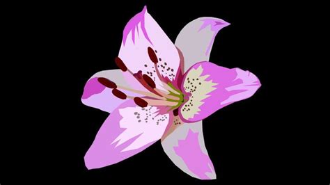 Image result for Falling Flower Animation