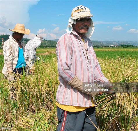 Filipino Agriculture 的图像结果