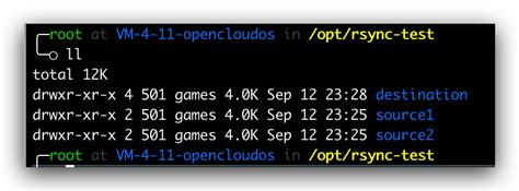Rsync Storage 的图像结果
