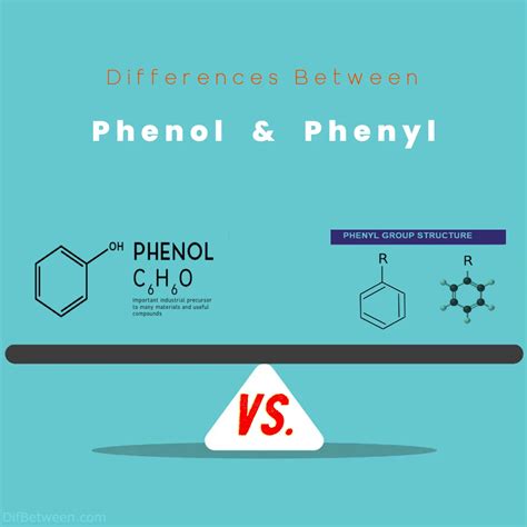 Phenol vs Phenyl: Unveiling Key Differences