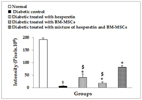 Efficiency of Bone Marrow-Derived Mesenchymal Stem Cells and Hesperetin ...