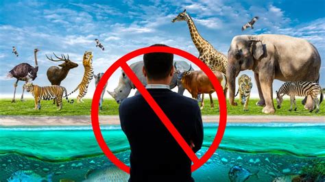 Japan Zoo Bans Solo Male Visitor: What Indian Travelers Need to Know ...
