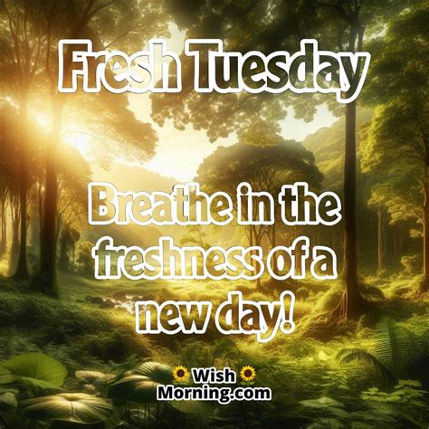 Tuesday Good Morning Images for a Productive and Happy Day - Wish Morning