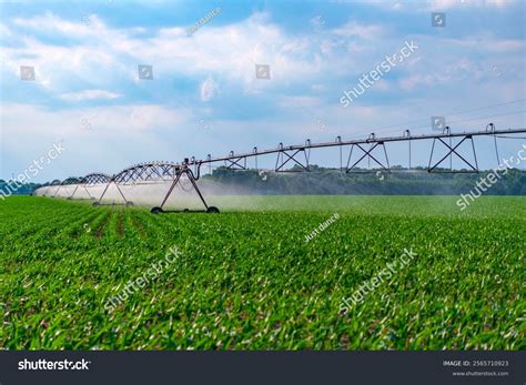 灌溉 的图像结果