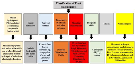 The Application of Arbuscular Mycorrhizal Fungi as Microbial ...