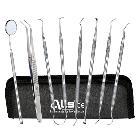 Alis Nylon Dental Tool 8 Pieces Hygiene Set With Pick, Floss, Tooth ...