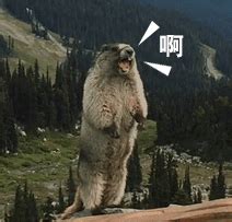 Image result for JavaScript System Error