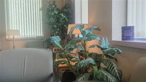 HEALTHPARTNERS NORTH SUBURBAN FAMILY PHYSICIANS CLINIC LINO LAKES ...