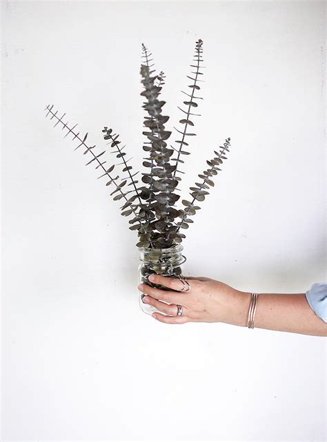 How to Preserve Eucalyptus - Simple Way to Preserve Eucalyptus