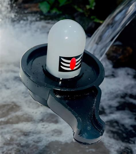 Water Sensor Shivling – Shoppymize