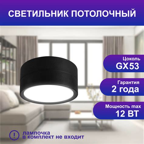 Светильник потолочный SPECTR TRC 05BL, 1шт., спот, точечный под сменную ...
