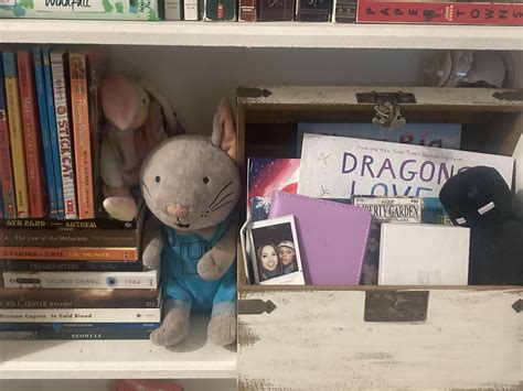 Shelfie! 📸📚(mostly) Thrifted books ;) : r/bookshelf
