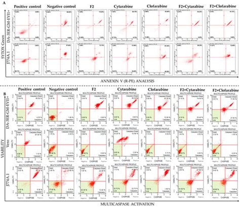 Enhancing Selectivity and Inhibitory Effects of Chemotherapy Drugs ...