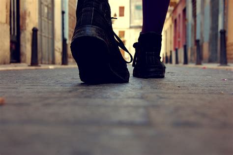 Peter Rabbit Spring 的图像结果