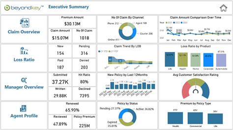 Image result for Insurance Dashboard Examples