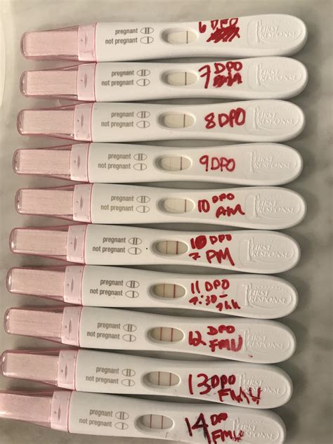 Ovulation Test Positive Early Pregnancy at Charles Champine blog