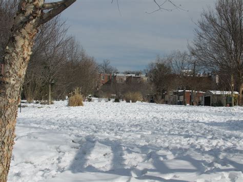 Crispus Attucks Park in NW Washington DC