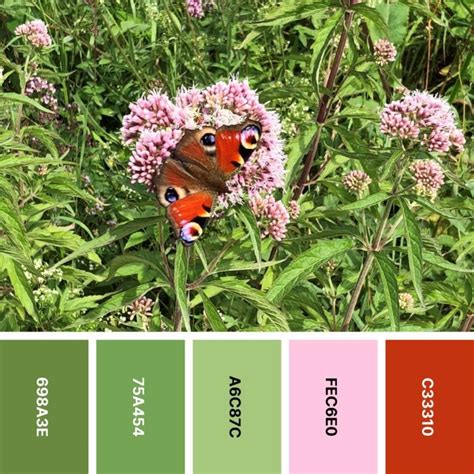 Spring Color Patterns 的图像结果