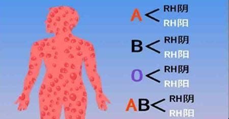 雙親與子女血型對照表，兩個A型或B型可以生出O型血的小孩！ - 每日頭條