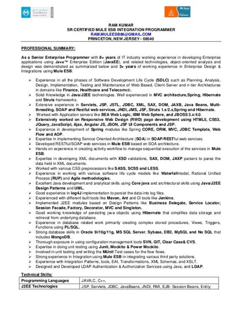 Image result for MuleSoft Developer Resume