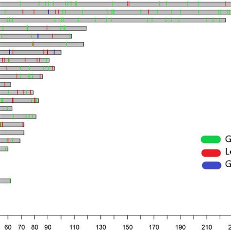 Image result for Level of Chromosomal Copy Number Variation
