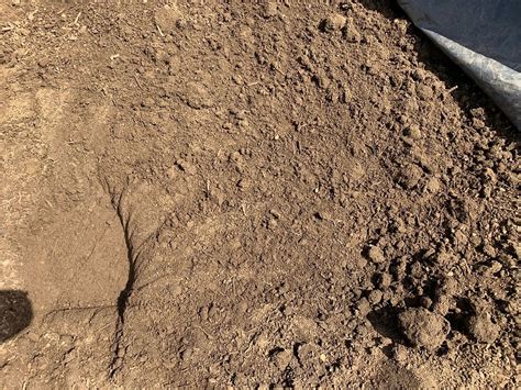 Compost/Soil 的图像结果