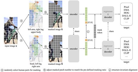 Image result for Hap Model
