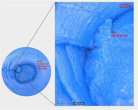 Image result for Magnification Examples