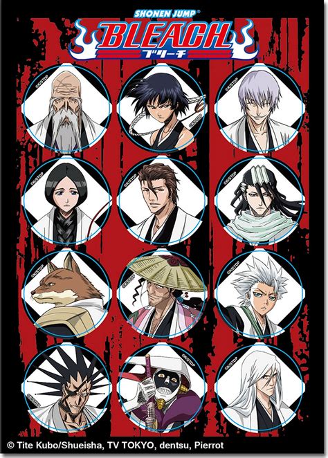 Bleach Characters Captains