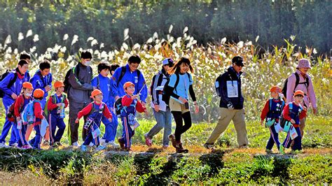 Image result for Algorithm March E Exercise