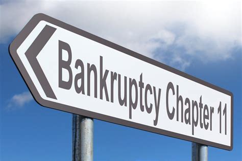 Explaining Chapter 11 Bankruptcy 的图像结果