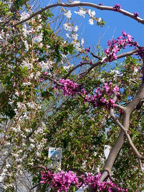 The Hanover Plant Farm Nursery and Garden Center – Hanover Vegetable Farm