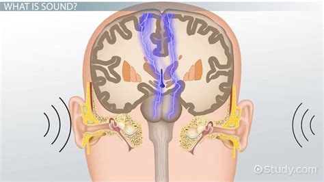 Image result for Stimulus Control Transfer ABA Example
