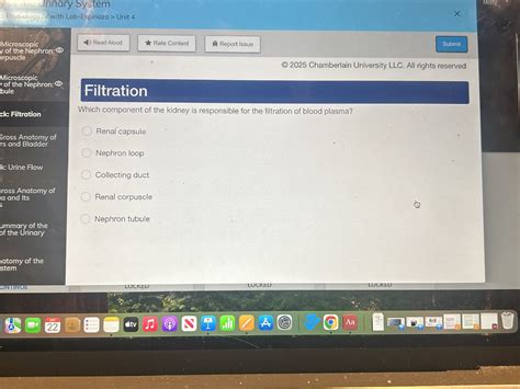 Filtration Which component of the kidney is | StudyX