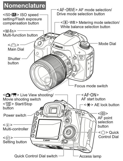 Canon Camera Tutorial 的图像结果