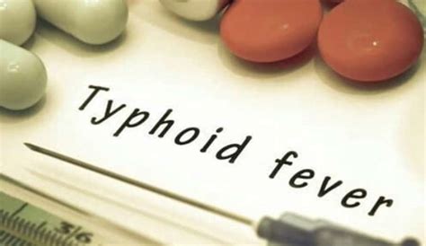 Foods for Typhoid Know What to Eat and What to Avoid during typhoid ...