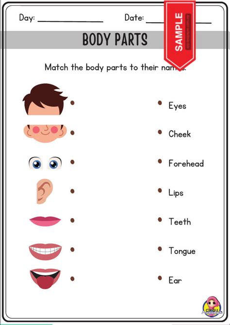 Image result for Science Module for Kinder