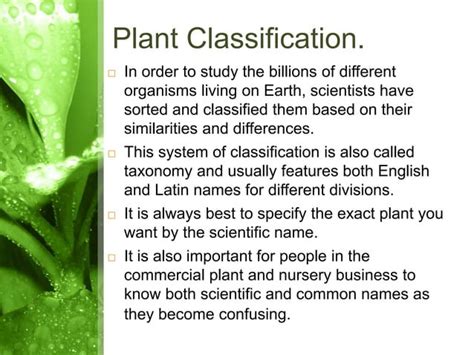 Plant Classifications Explained 的图像结果