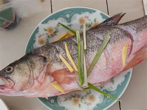 河鲈鱼和海鲈鱼的区别,鲈鱼和桂鱼的区别_大山谷图库