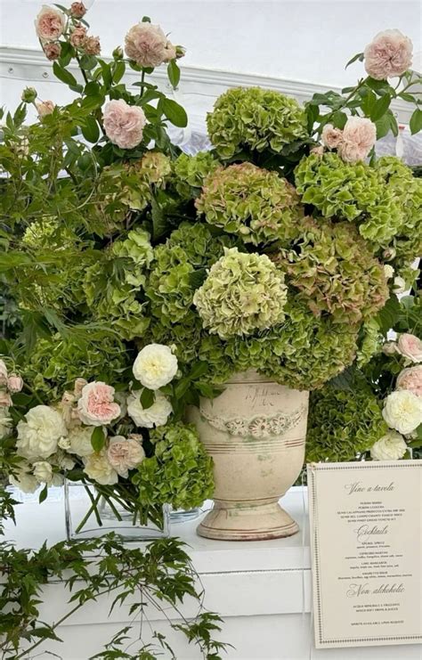 Pin by Kathy Turner on Chloe’s Wedding in 2025 | Green hydrangea ...