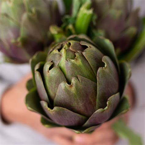 Receta de flores de alcachofa: el truco fácil para cocinarlas en casa y ...