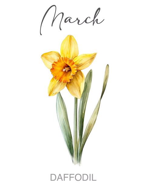 March watercolor daffodil birth month flower wall art print in 2025 ...