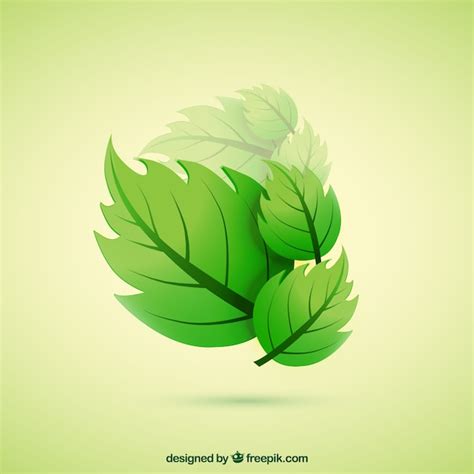 Green leaves | Free Vector