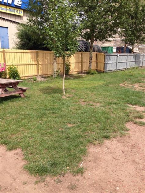 DINOSAUR RV PARK (Drumheller, Alberta) - Campground Reviews & Photos ...