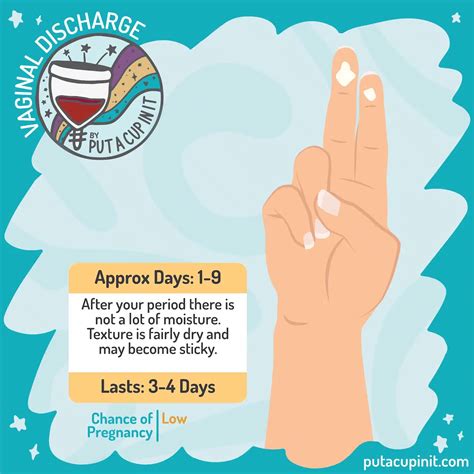 Normal Vaginal Discharge 的图像结果